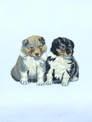 ÜÇ BOYUTLU APLİKE