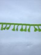 PAMUKLU ŞERİT SAÇAK FISTIK YEŞİLİ